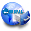 Hosting Drupal Business